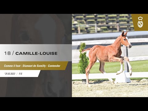 18 Camille Louise - 29. Online Elite-Fohlenauktion 2023