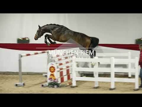 20. DSP Hengsttage 2023 in München-Riem