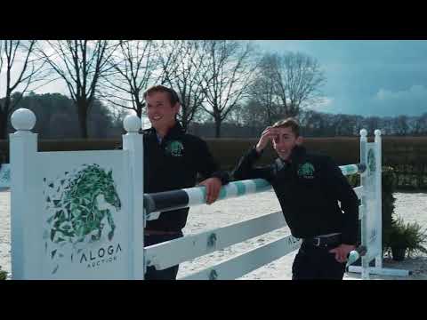 Aloga Auction im Sentower Park