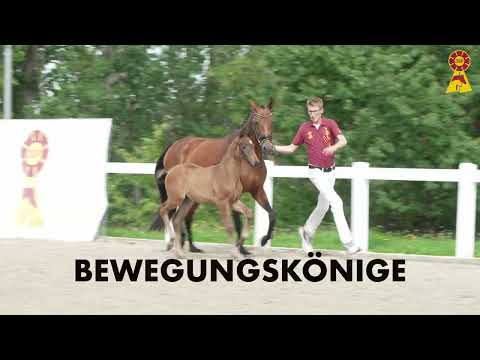 DSP Auktion: Hohenzollern Stars