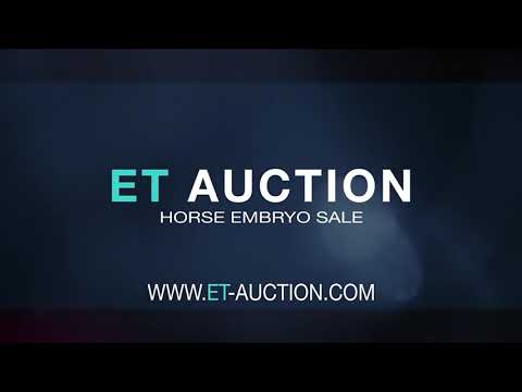 ET Auction: World Champion Embryo Edition