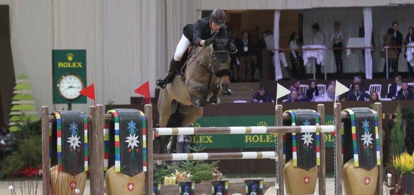 Zuchtverbands-Ranking: KWPN vor Oldenburg International und BWP