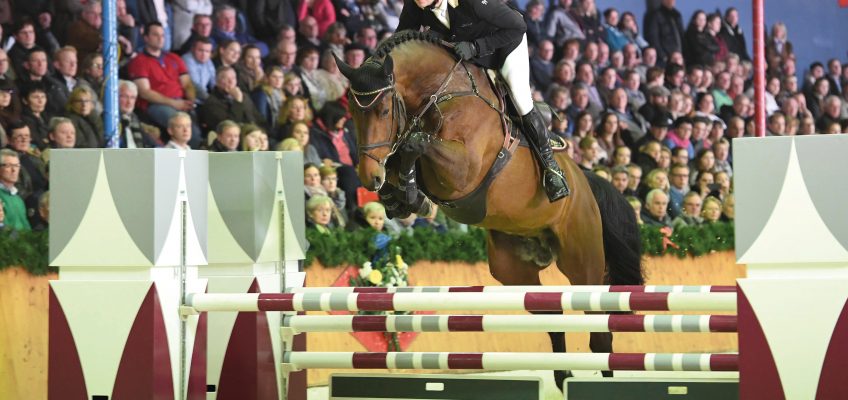 Sieben neue Hengste in Sosath’s Kollektion – Hengstschau am 10. Februar!