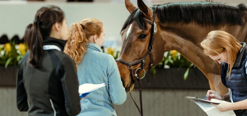 Stall Beerbaum erfolgreich im Eröffnungsspringen der Longines Masters in Hongkong