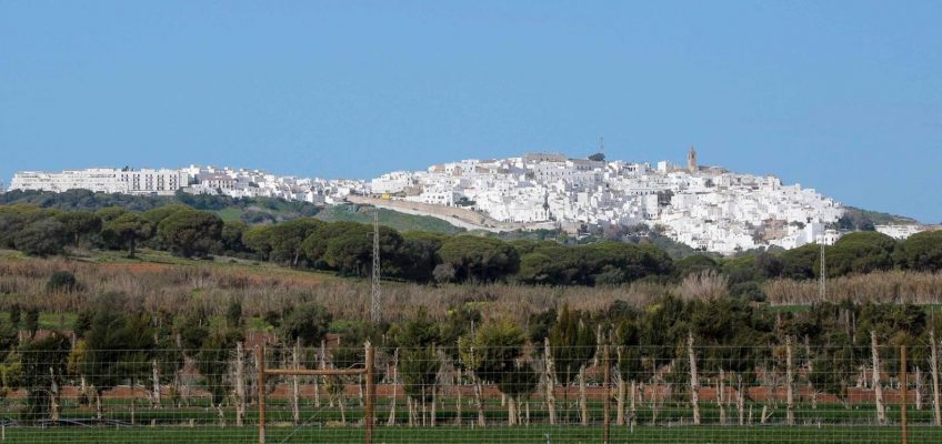 Riesenerfolg für Michael Viehweg bei Sunshine Tour in Andalusien