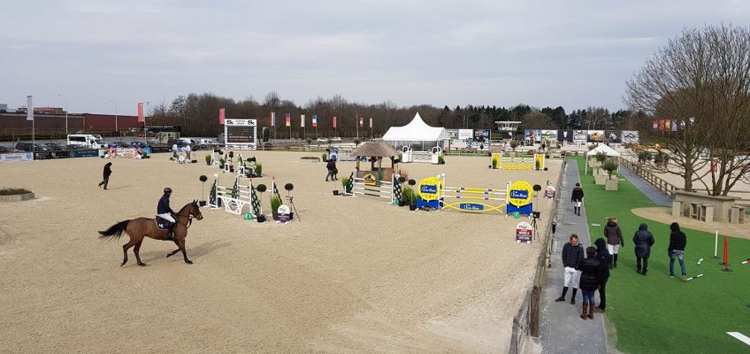 Holsteinerin gewinnt Großen Preis in der Stephex Arena von Lier