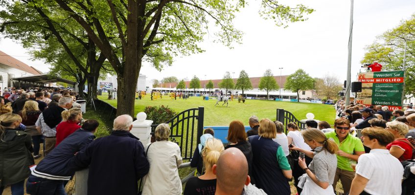 Der Countdown zum Pferdefestival Redefin Anfang Mai läuft!