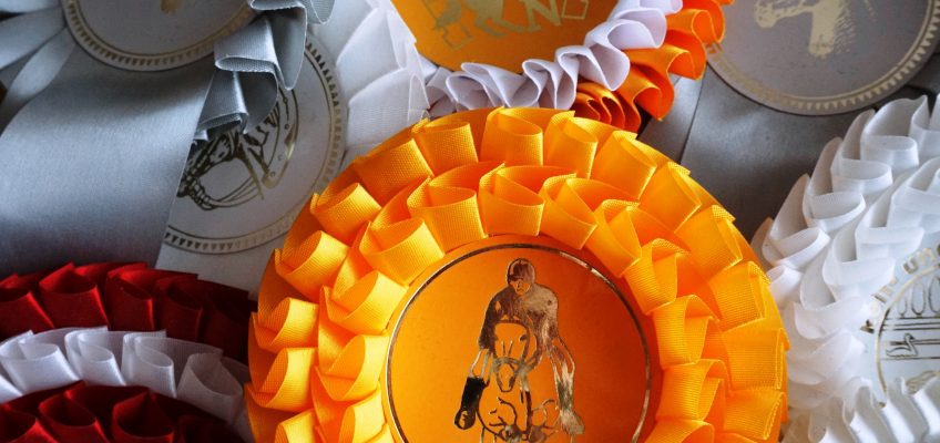 Turniersportstatistik 2017: Mehr Turniere und Prüfungen, weniger Pferde
