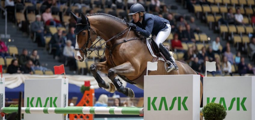 Horses, dogs, fun and flair – Redefin Horse Show