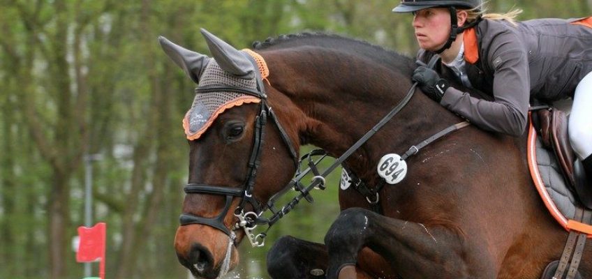 Sandra Auffarth gewinnt im Stechen Championat der Berufsreiter