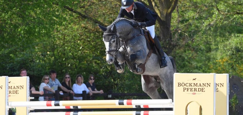 Böckmann-Hengst Checkter für Holstein anerkannt