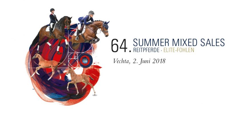 Oldenburger Sommer Kollektion online