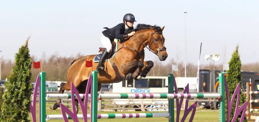 Vater Leon Thijssen gewinnt in Kronenberg, und Wallach Everglade meldet sich zurück