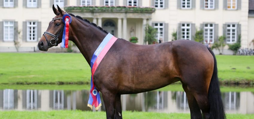 Schönheitsköniginnen im Schlosspark zu Rastede