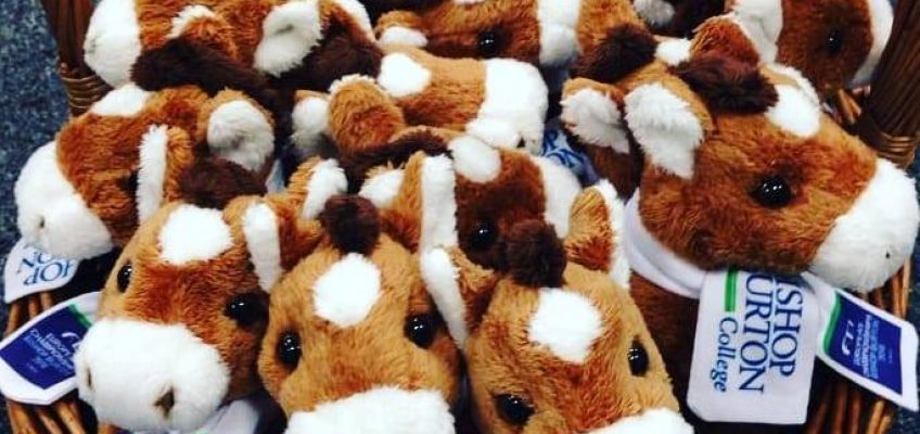 Pony EM Bishop Burton: Springreiter auf Rang fünf