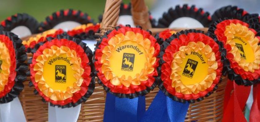 Oldenburger Hengst Stargold gewinnt Youngster-Championat