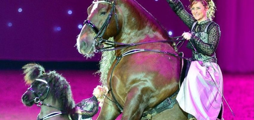 Faszinierende Gala-Show in Vechta