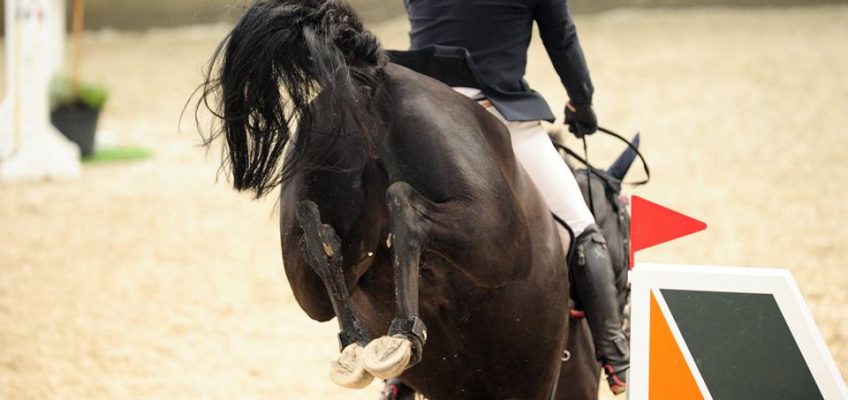 Gelungene Premiere der neuen Nordic Jumping Events!