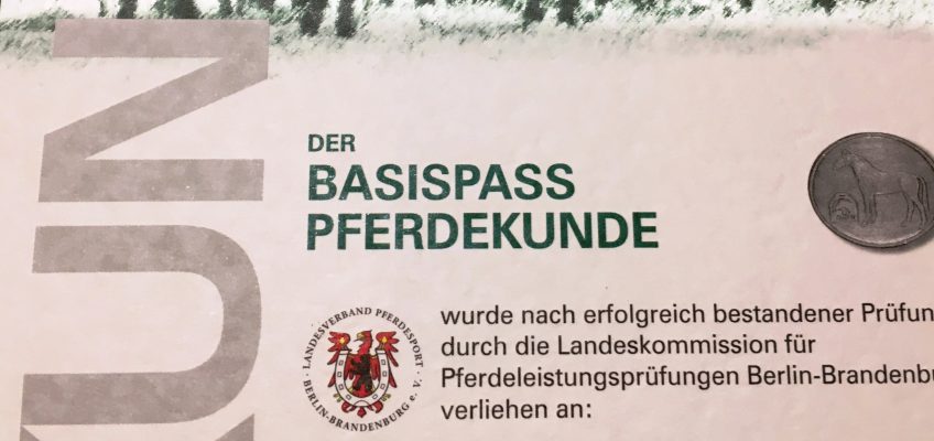 Neue APO: Aus Basispass wird Pferdeführerschein
