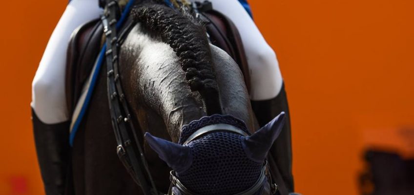 Von Ahlmann bis Schulze Topphoff: Die Teilnehmerliste für das CSI5*Saut Hermès ist online!