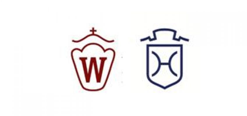 Westfälisches Pferdestammbuch und Holsteiner Verband mit gemeinsamer Fohlenauktion