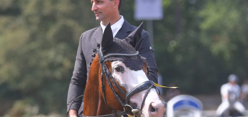 Junge Vererber dominieren die Trakehner-Championate