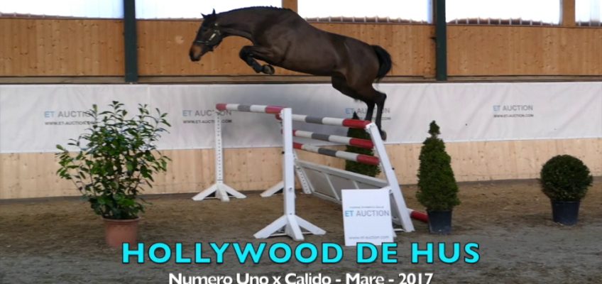 ET Auction: Spring Elite Young Horse & Frozen Semen Edition