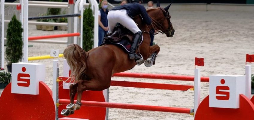 Karawane macht sich auf den Weg zu Amadeus Horse Indoors in Salzburg