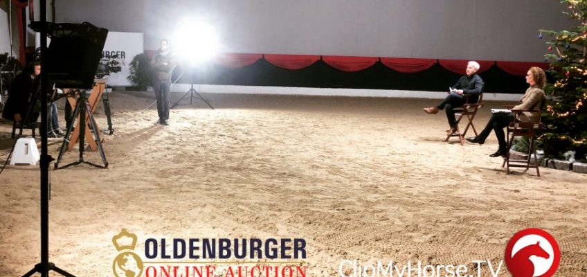 Online-Präsentation der Oldenburger Reitpferde