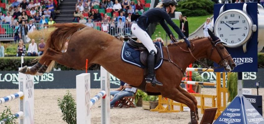 Durch Corona: Aus einem macht München zwei “Pferd International”