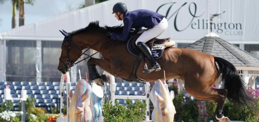 Dominator Deusser: Erster und Fünfter im CSI5* 75.000 Dollar Springen in Wellington!