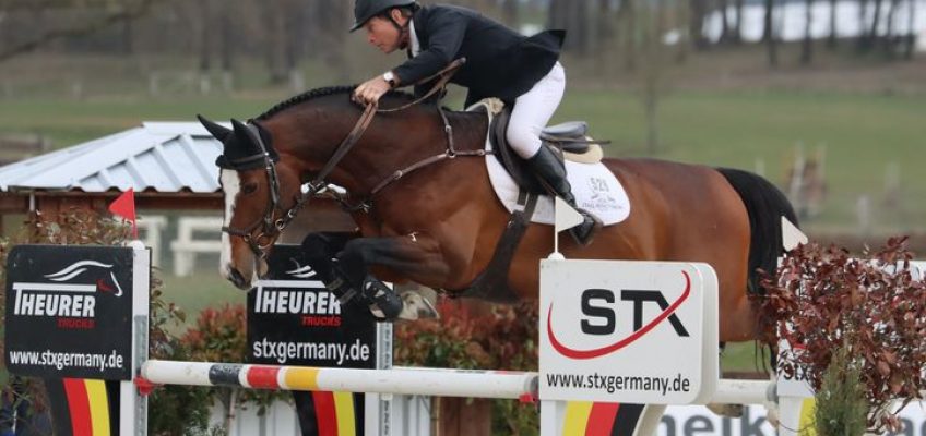 Rolf-Göran Bengtsson und Ermindo W galoppieren im Großen Preis beim CSI2* in Westergellersen allen davon!