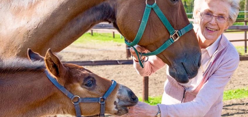 “Das Herz des Reitsports” – Madeleine Winter-Schulze wird 80!