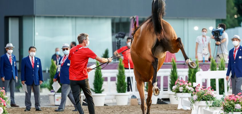 Olympia-Countdown: Ab morgen greifen die Springreiter nach den Medaillen!