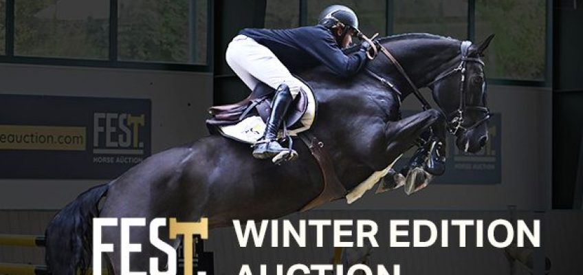 FESTHorseauction – high quality from sport horse professionals