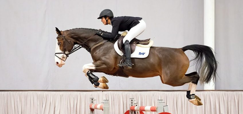 Reitpferde und Youngster eröffnen Westfälisches Auktionsjahr