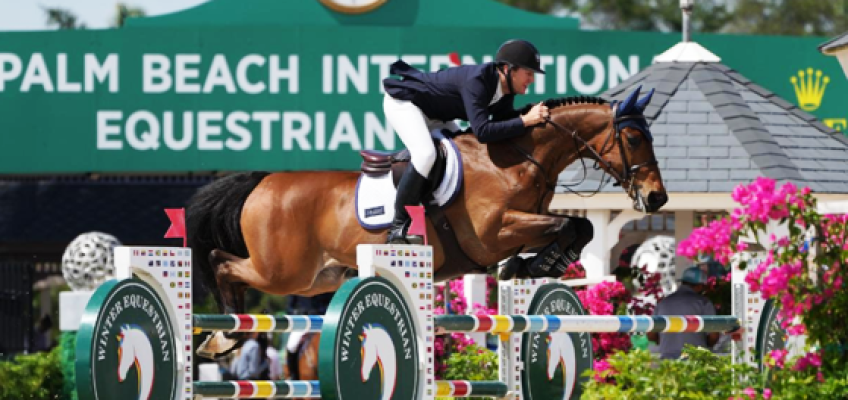 McLain Ward gewinnt CSI5* in Wellington, Richard Vogel Fünfter