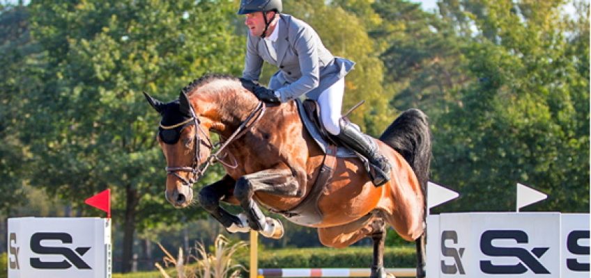 Im Rahmen des CSI**: Hengste im Training bei Riesenbeck International