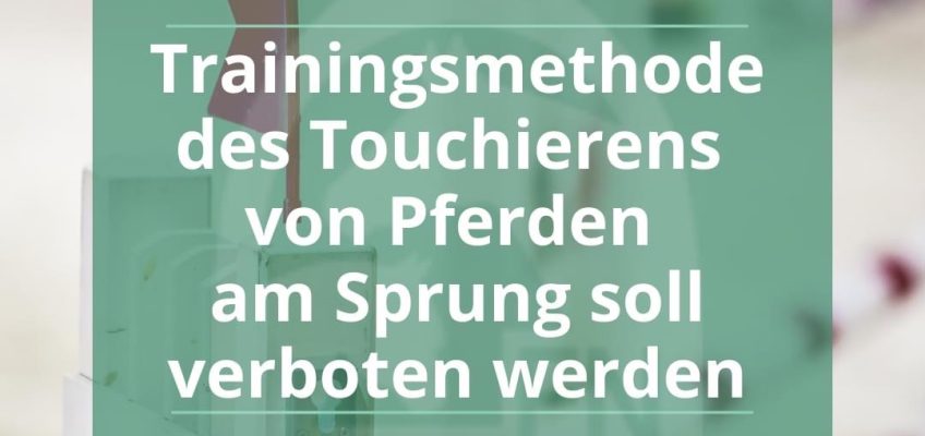 Touchieren von Pferden am Sprung soll verboten werden