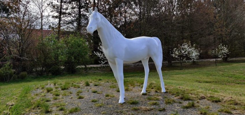 Charity Auktion – Ein Pferd für den Frieden vom Hof Kasselmann