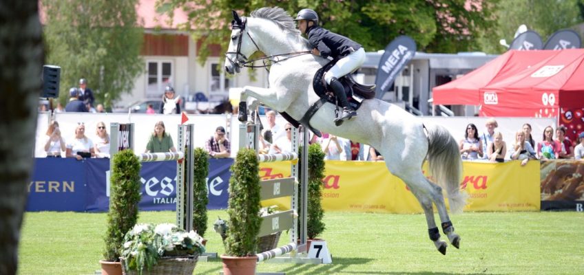 Pferd International München: Michael Viehweg fliegt zum Sieg