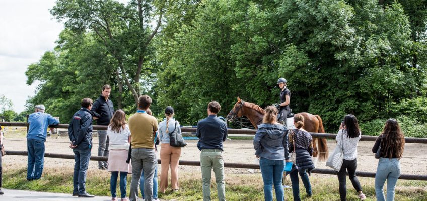 Educational Tour für Züchter und Reiter: Oldenburger Meeting