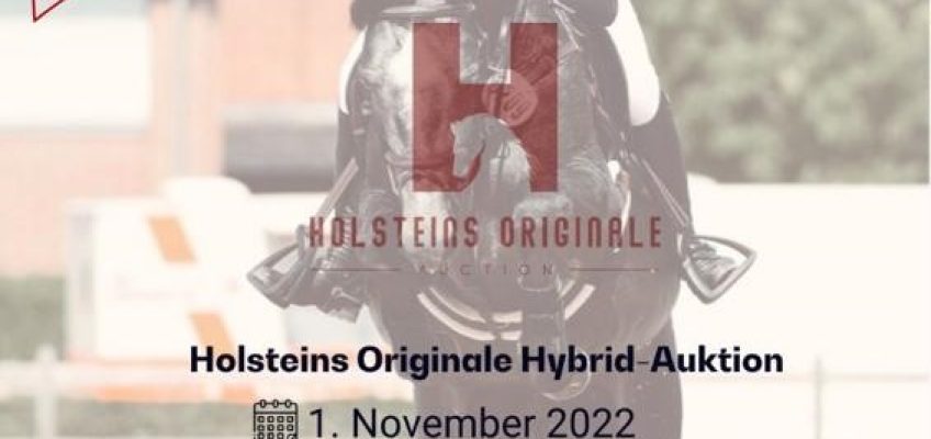 Coming soon: Holsteins Originale 