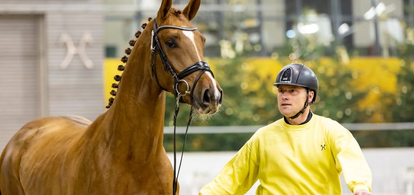 Hannoveraner Körung mit einem neuen Crack für Janne Friedrike Meyer-Zimmermann