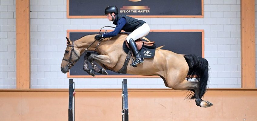 Young Jumper für die Zukunft bei Live & Online Eye Of The Master Auktion!