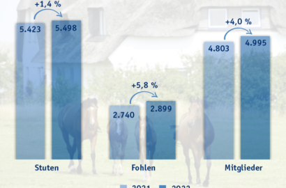 Positive Entwicklungen bei Mitgliederzahlen, Stuten und Fohlen in Holstein!