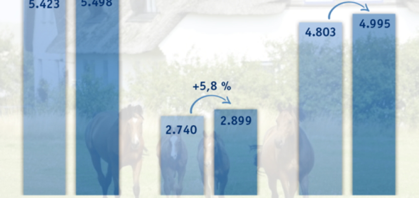 Positive Entwicklungen bei Mitgliederzahlen, Stuten und Fohlen in Holstein!