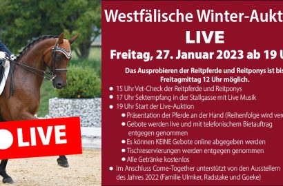 Nach der Technik-Panne: Live-Auktion bei den Westfalenpferden