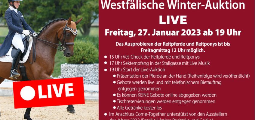 Nach der Technik-Panne: Live-Auktion bei den Westfalenpferden