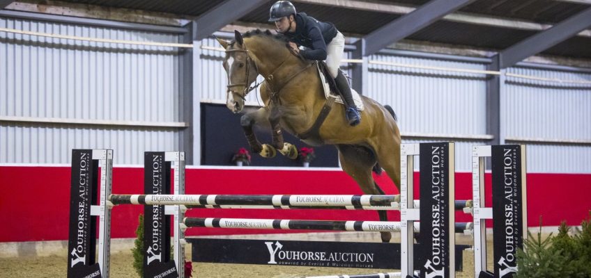 Youhorse.auction starts new year with 50,000 euro for Ongering